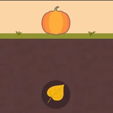 Pumpkin Dig